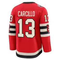 Men's Daniel Carcillo Chicago Blackhawks Red 2025 Winter Classic Jersey - Black Premium